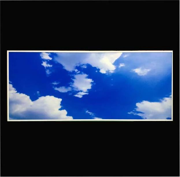 LED panel 60x120 himmel